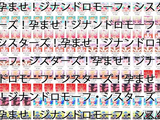 【2GB越え差分CG集】孕ませ！ジナンドロモーフ・シスターズ！！2025＋＋＋【頂点ベスト】【ヒロカワミズキ（スタジオ・ジナシスタ！！）】